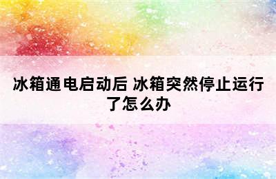 冰箱通电启动后 冰箱突然停止运行了怎么办